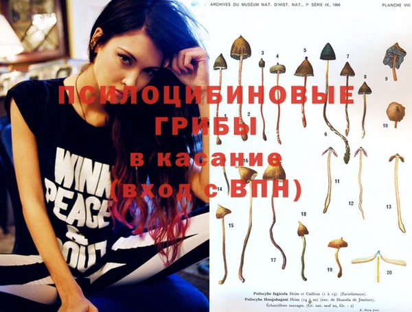гидропоника Алексеевка