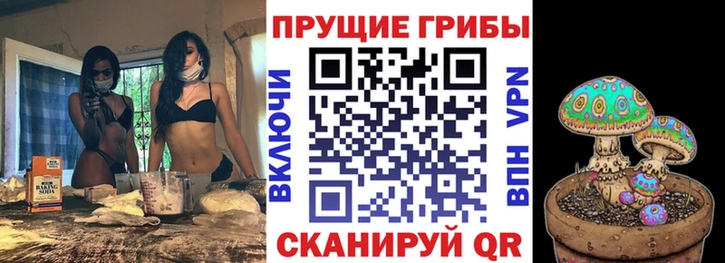 где можно купить Зверево Галлюциногенные грибы прущие грибы